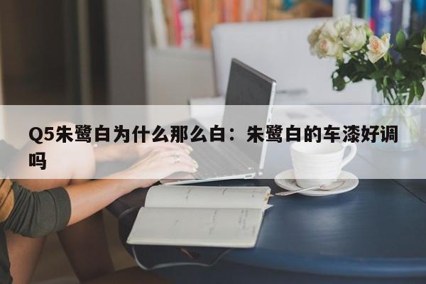 Q5朱鹭白为什么那么白：朱鹭白的车漆好调吗