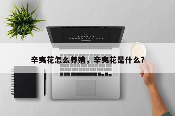 辛夷花怎么养殖，辛夷花是什么?