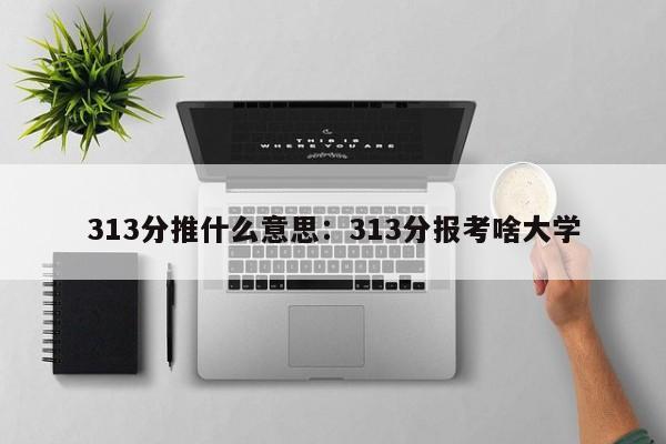 313分推什么意思：313分报考啥大学