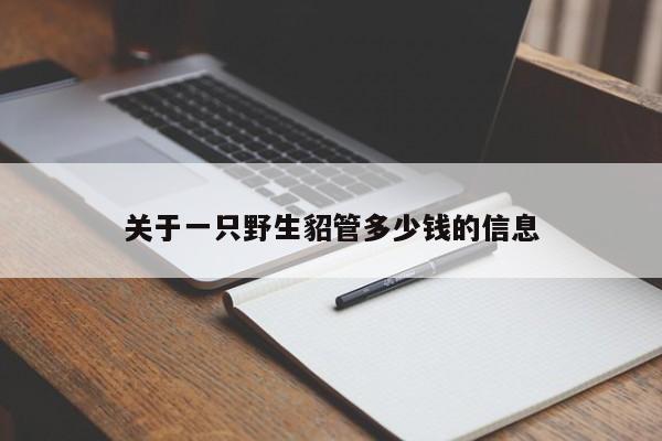 关于一只野生貂管多少钱的信息