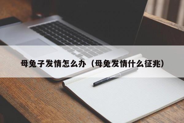 母兔子发情怎么办（母兔发情什么征兆）