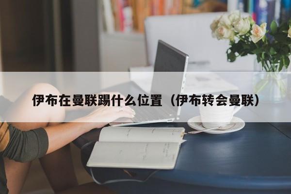 伊布在曼联踢什么位置（伊布转会曼联）