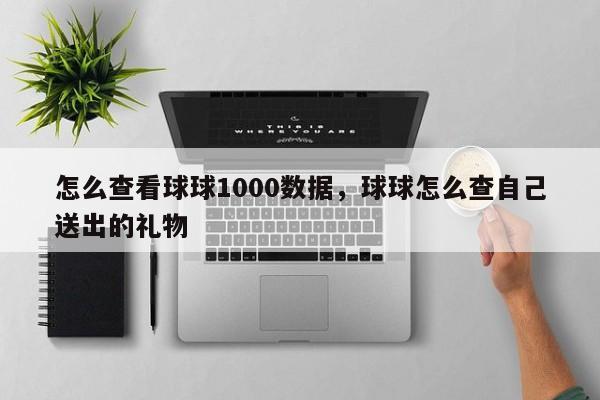 怎么查看球球1000数据，球球怎么查自己送出的礼物